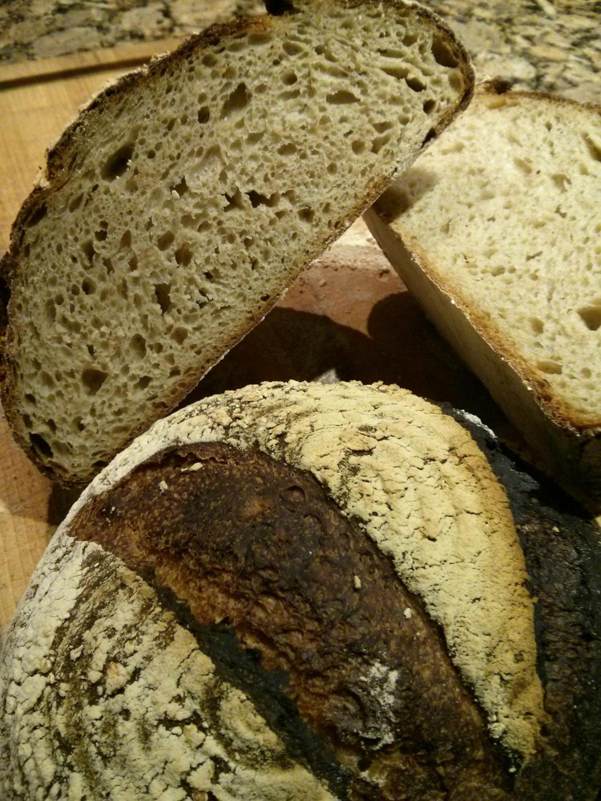 Honeyed Spelt and Oat The Fresh Loaf